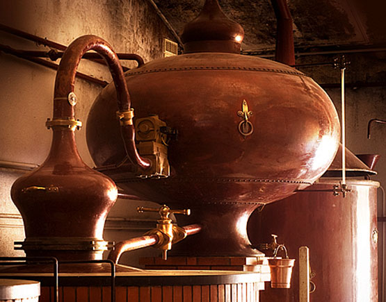 grand champagne cognacs