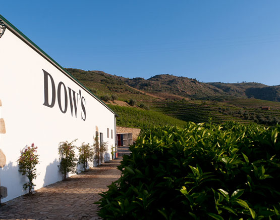 dows building with sign