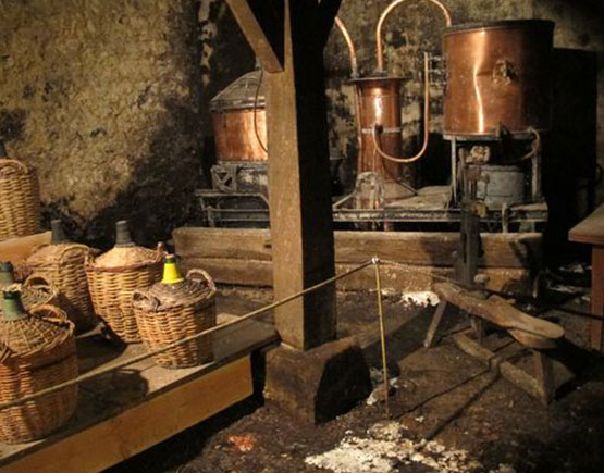 Armagnac-Gelas-&-Fils-distillery