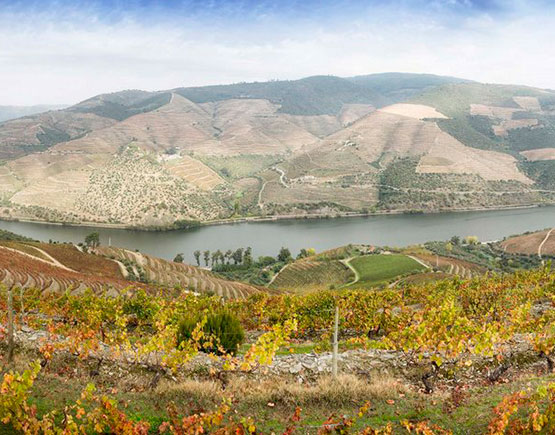 Quinta de Soa Luiz view