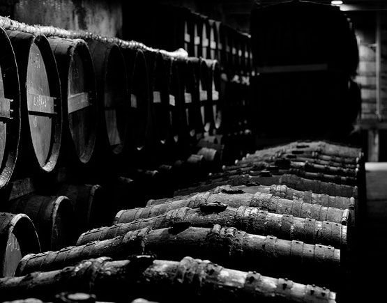 Domaine de Chez Maillard