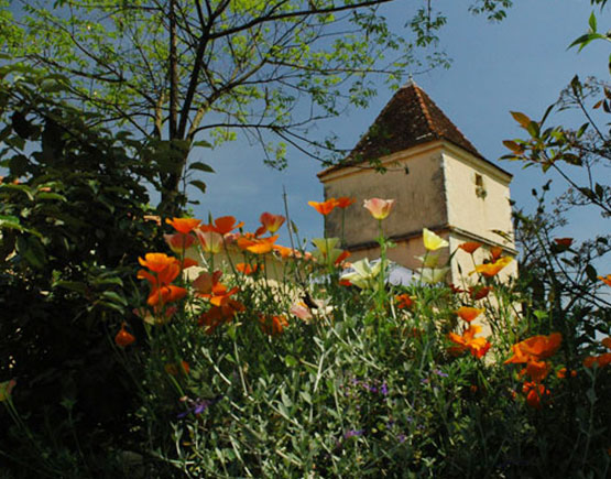 Armagnac-Domaine-de-Millet-house