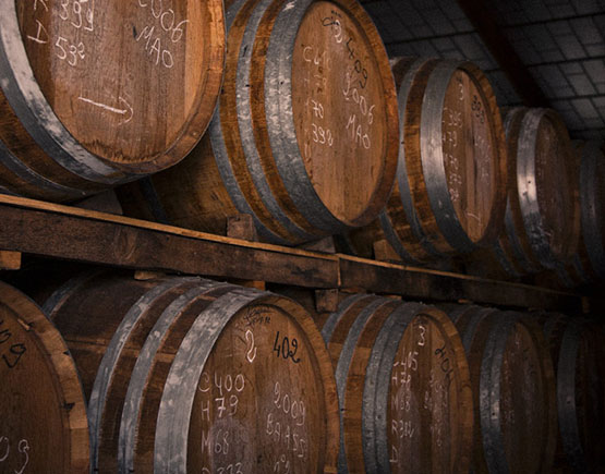 Armagnac-Marquis-de-Montesquiou-cellar-barels