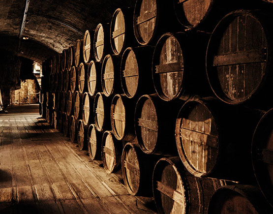 The Lower Vault's Cellar