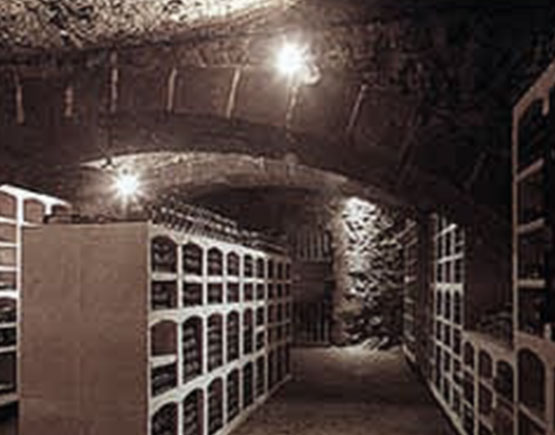 Grand and Petites Champagnes