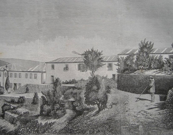 old drawing port quinta do Noval