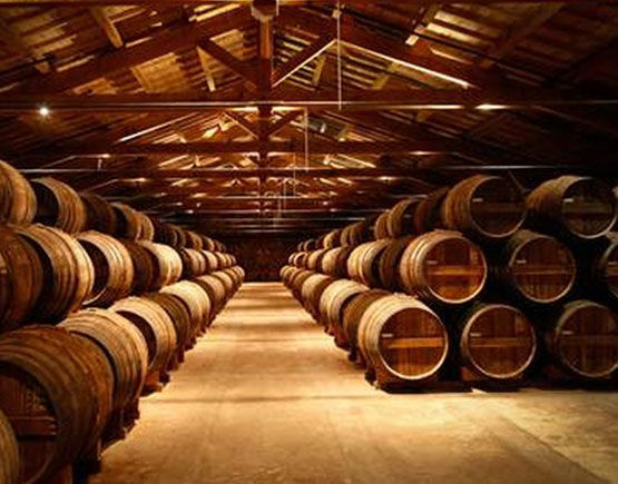 Remy Martin Vintage