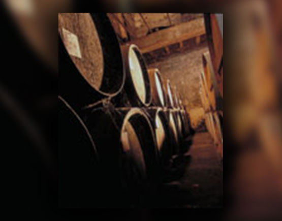 Armagnac-Baron-de-Saint-Feux-barrels