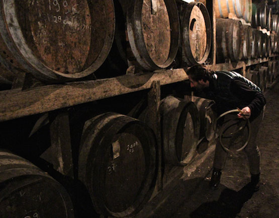 Armagnac-Chateau-de-briat-barrels