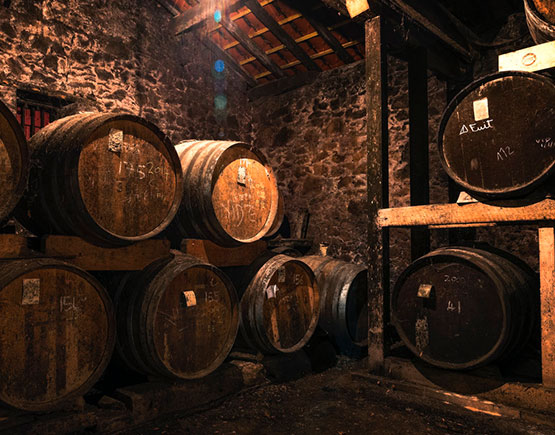 Armagnac-Chateau-de-briat-cellar-barrels
