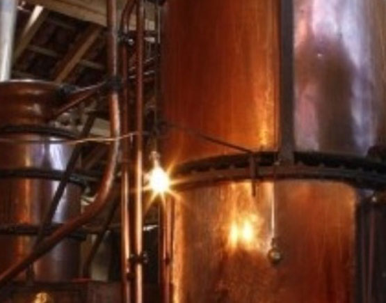 Armagnac-Chateau-de-briat-distillery