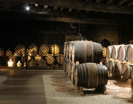 Cellar