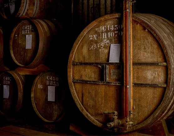 Armagnac-Jean-Cave-barrels-cellar